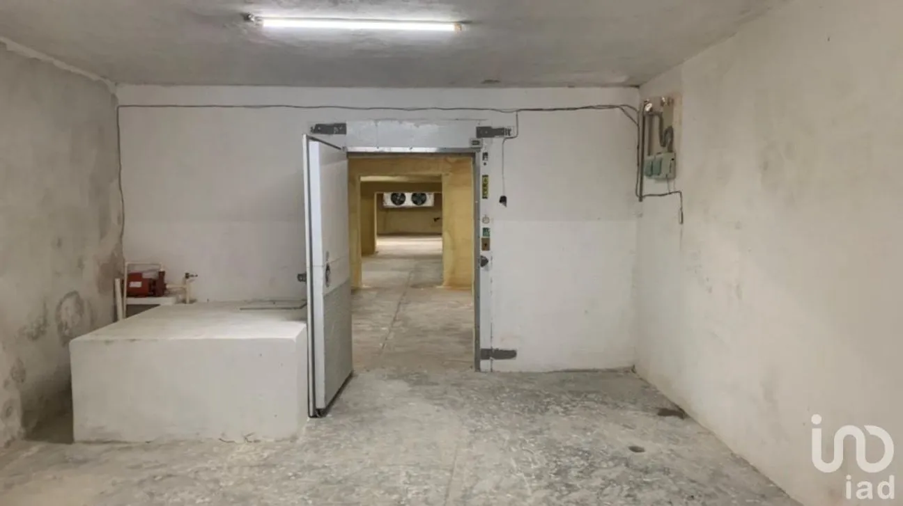 Casa en Venta en Mérida Centro, Mérida, Yucatán | NEX-230714 | iad México | Foto 4 de 8