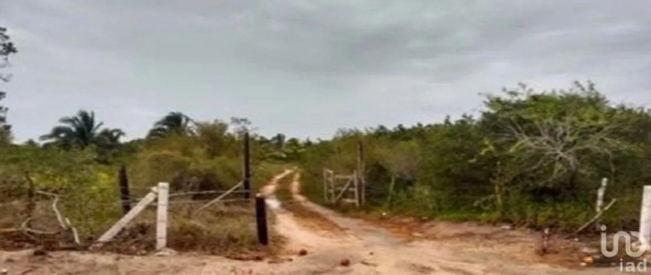 Terreno en Venta en Dzilam de Bravo, Dzilam de Bravo, Yucatán | NEX-230747 | iad México | Foto 1 de 3
