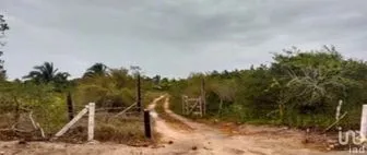 NEX-230747 - Terreno en Venta en Dzilam de Bravo, CP 97606, Yucatán.