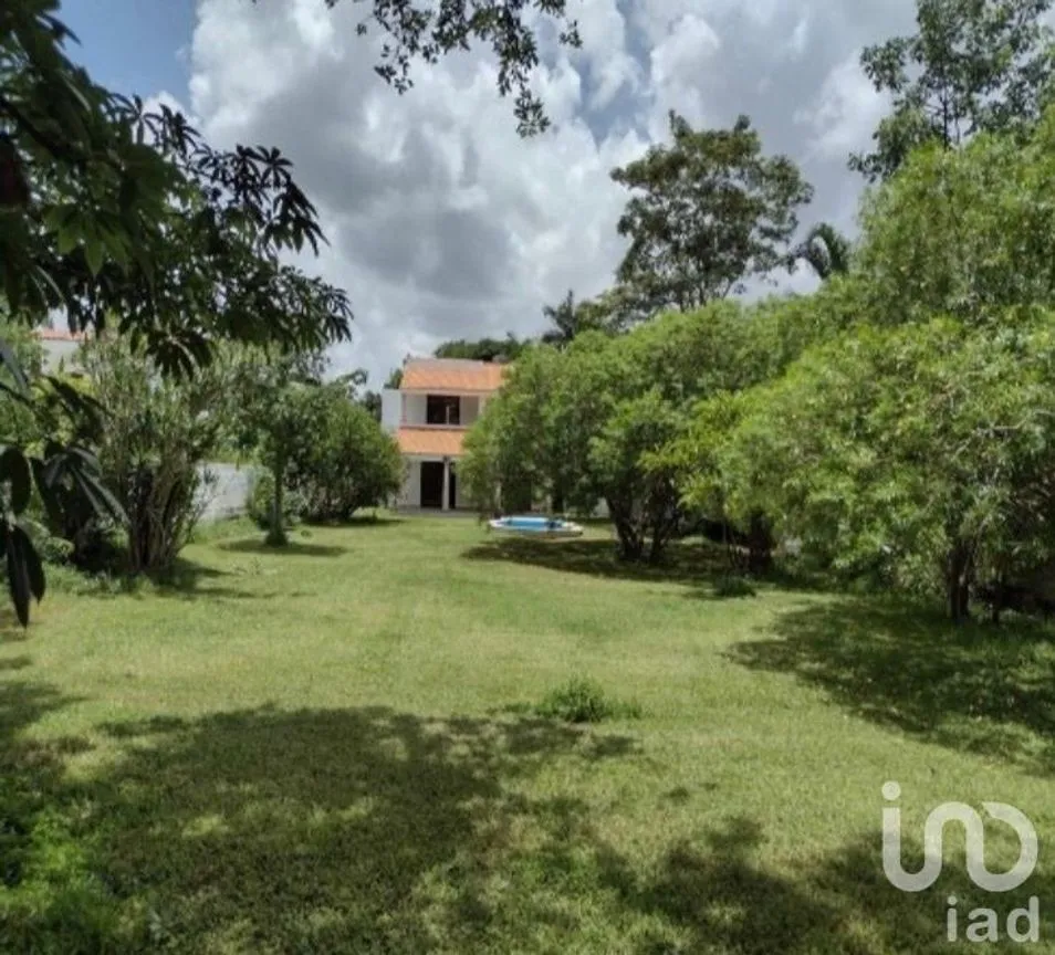 Casa en Venta en Las Palmas, Mérida, Yucatán | NEX-230750 | iad México | Foto 3 de 6
