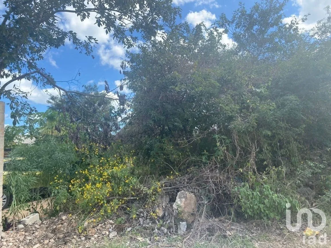 Terreno en Venta en Chablekal, Mérida, Yucatán | NEX-230756 | iad México | Foto 6 de 6