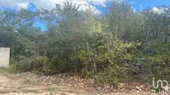 NEX-230756 - Terreno en Venta en Chablekal, CP 97302, Yucatán.