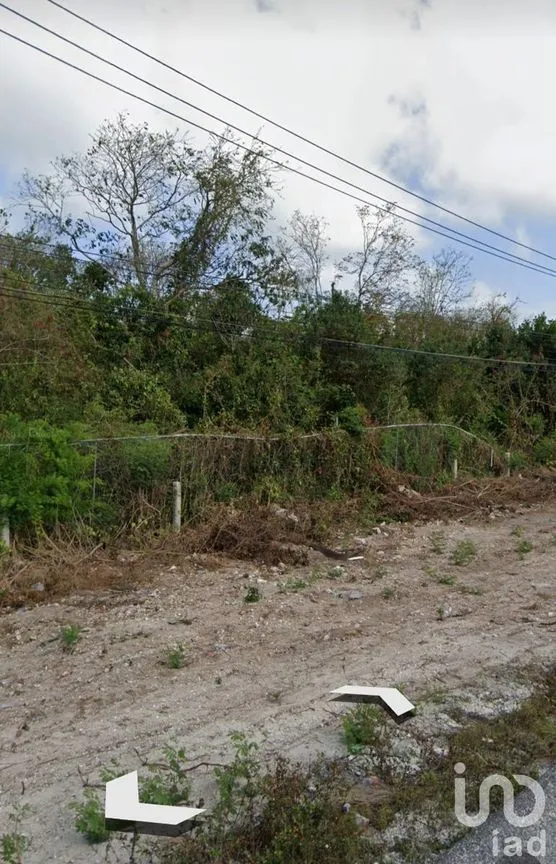 Terreno en Venta en Puerto Morelos, Puerto Morelos, Quintana Roo | NEX-230778 | iad México | Foto 1 de 3