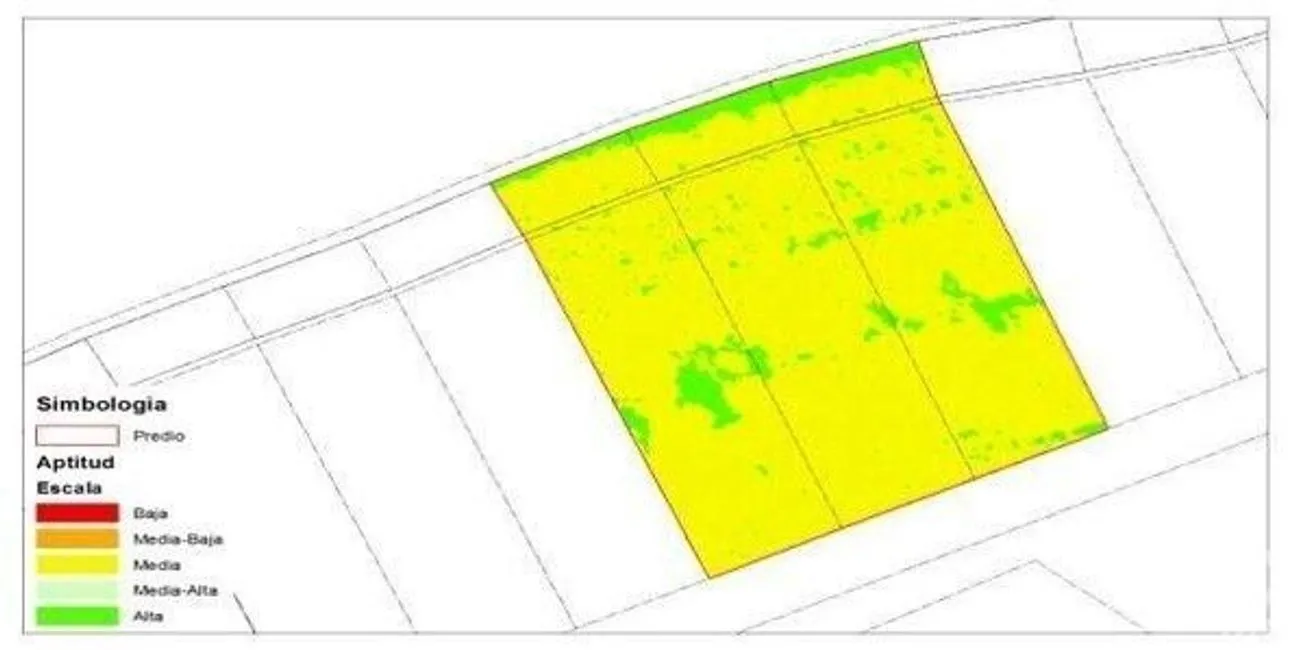 Terreno en Venta en Isla de Holbox, Lázaro Cárdenas, Quintana Roo | NEX-230794 | iad México | Foto 2 de 9