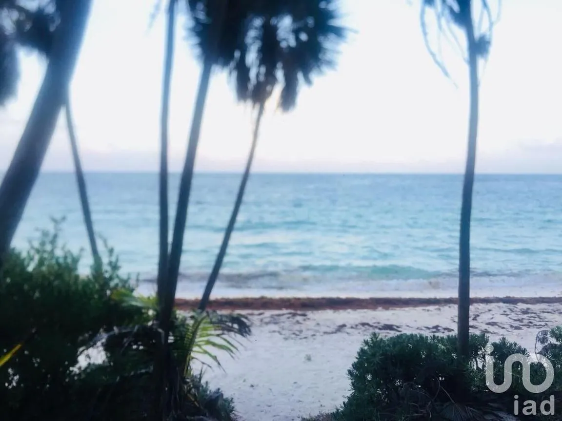 Terreno en Venta en Javier Rojo Gómez (Punta Allen), Tulum, Quintana Roo | NEX-230801 | iad México | Foto 10 de 14
