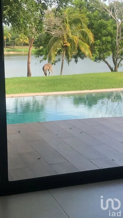 Casa en Venta en Yucatán Country Club, Mérida, Yucatán | NEX-276637 | iad México | Foto 18 de 23
