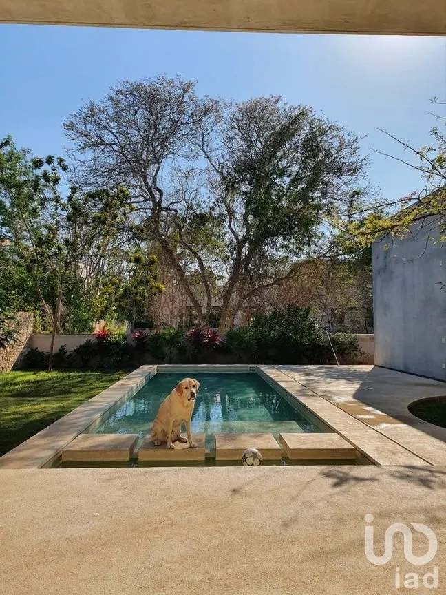 Casa en Venta en Yucatán Country Club, Mérida, Yucatán | NEX-276639 | iad México | Foto 7 de 10