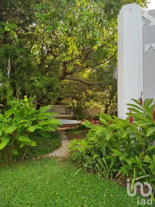 Casa en Venta en Mérida Centro, Mérida, Yucatán | NEX-276644 | iad México | Foto 4 de 11