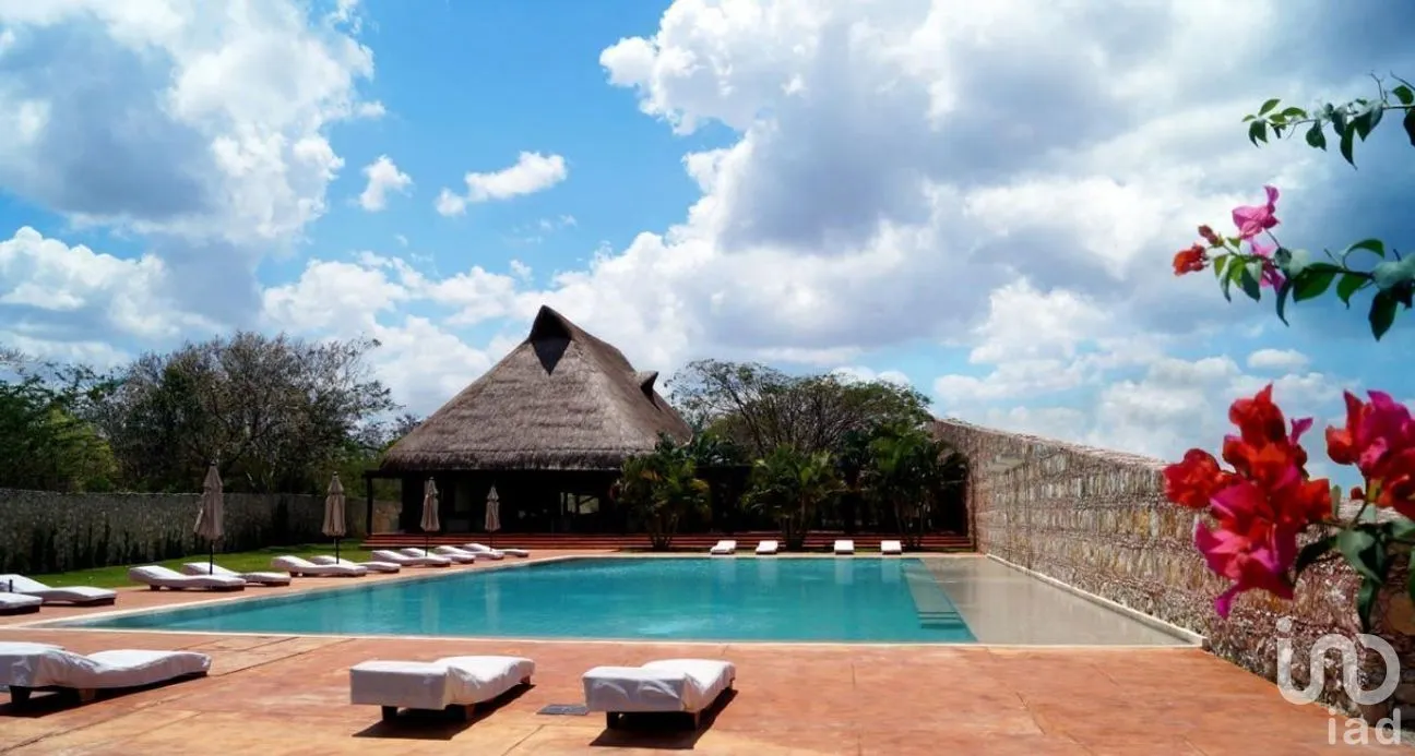 Terreno en Venta en Dzibilchaltún, Mérida, Yucatán | NEX-276654 | iad México | Foto 8 de 15
