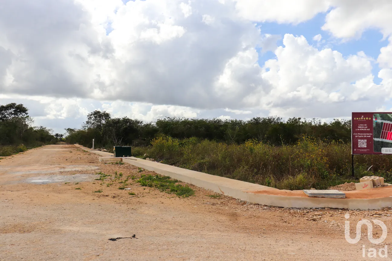 Terreno en Venta en Yaxkukul, Yaxkukul, Yucatán | NEX-276664 | iad México | Foto 6 de 7