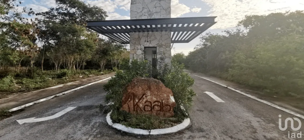 Terreno en Venta en Sierra Papacal, Mérida, Yucatán | NEX-276666 | iad México | Foto 3 de 5