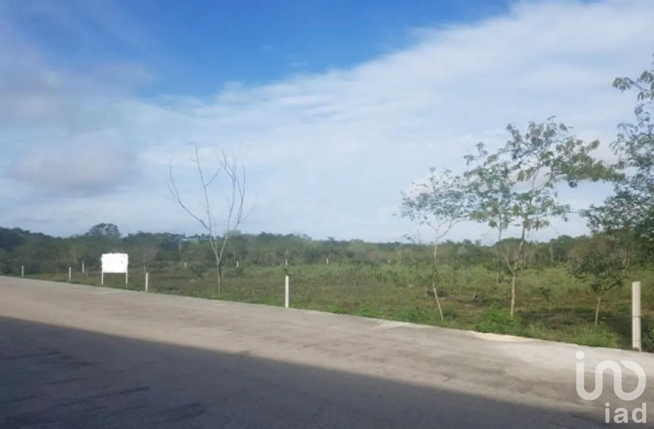 Terreno en Venta en San Lorenzo, Umán, Yucatán | NEX-276676 | iad México | Foto 4 de 7