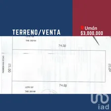 NEX-276676 - Terreno en Venta en San Lorenzo, CP 97390, Yucatán.