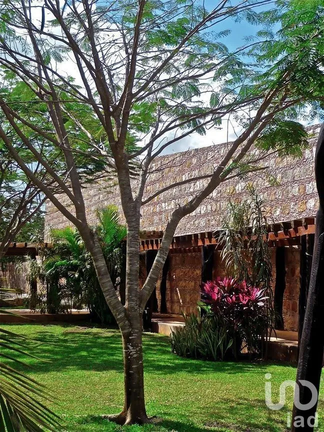 Terreno en Venta en Dzibilchaltún, Mérida, Yucatán | NEX-276678 | iad México | Foto 7 de 16