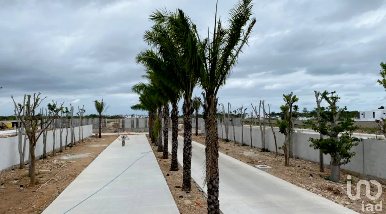 Terreno en Venta en Cholul, Mérida, Yucatán | NEX-276689 | iad México | Foto 10 de 11