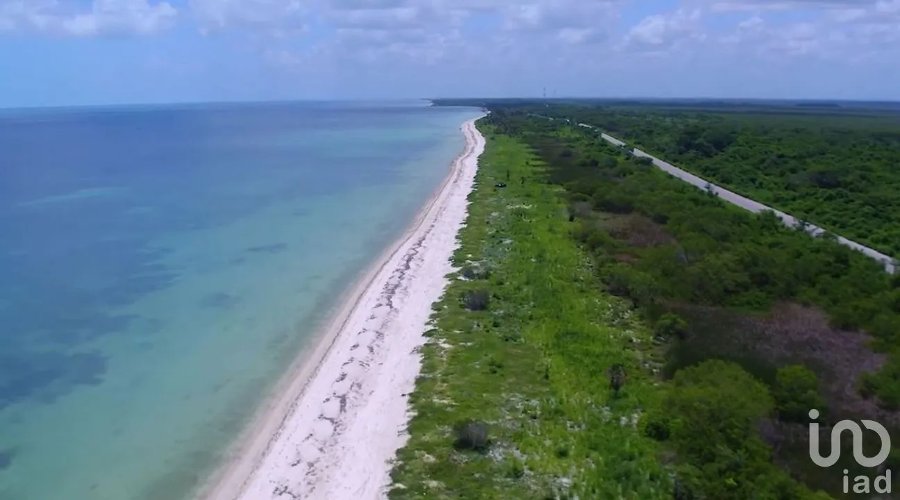 Terreno en Venta en Malecón, Champotón, Campeche | NEX-276693 | iad México | Foto 4 de 8