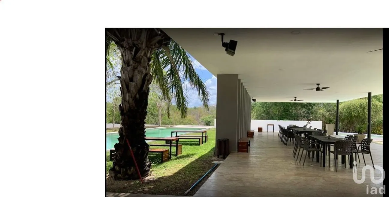 Terreno en Venta en Dzidzilché, Mérida, Yucatán | NEX-276710 | iad México | Foto 8 de 9