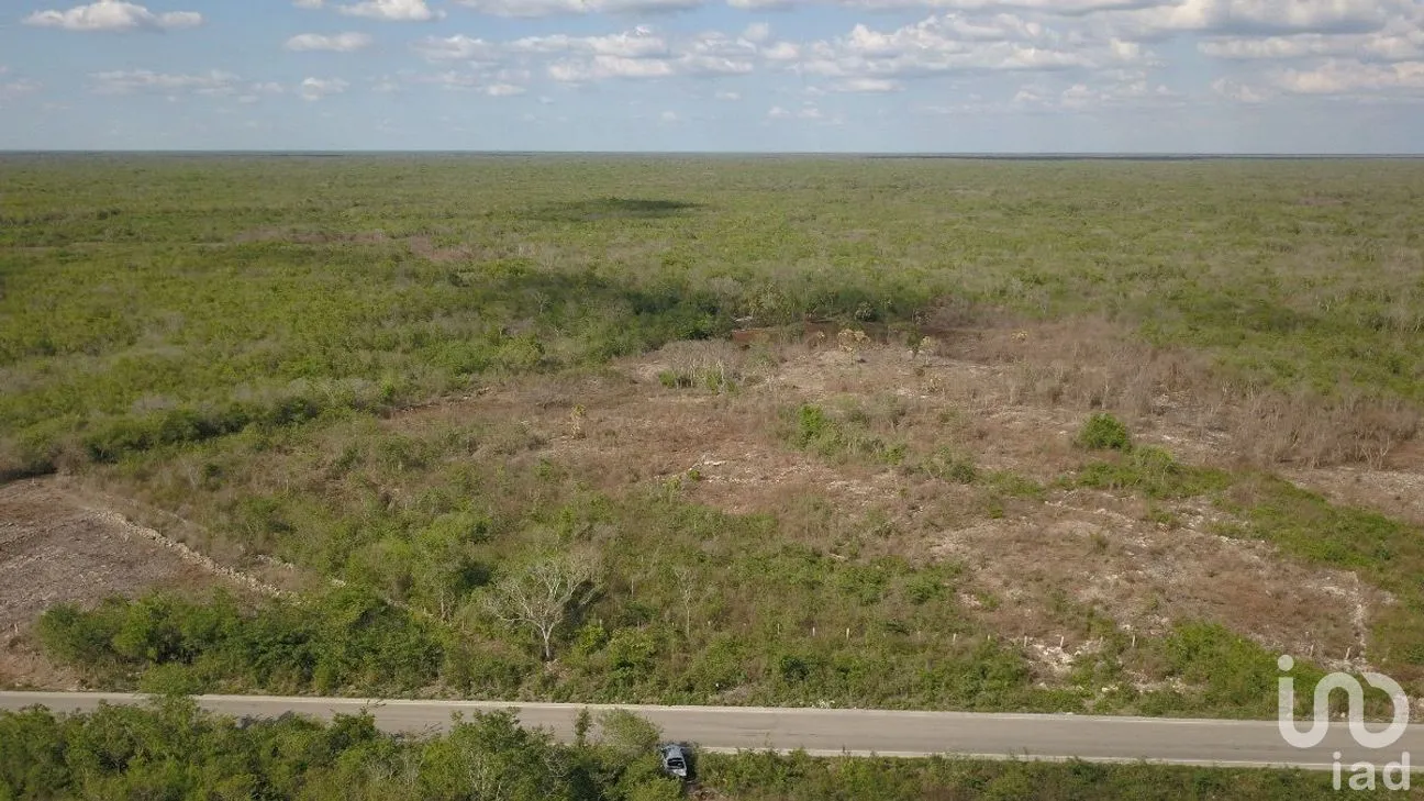 Terreno en Venta en Opichen, Opichén, Yucatán | NEX-276721 | iad México | Foto 3 de 4