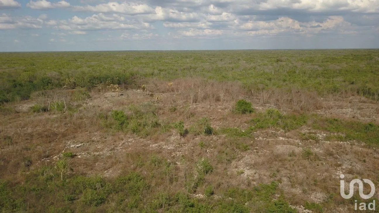 Terreno en Venta en Opichen, Opichén, Yucatán | NEX-276721 | iad México | Foto 4 de 4