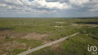 NEX-276721 - Terreno en Venta en Opichen, CP 97813, Yucatán.
