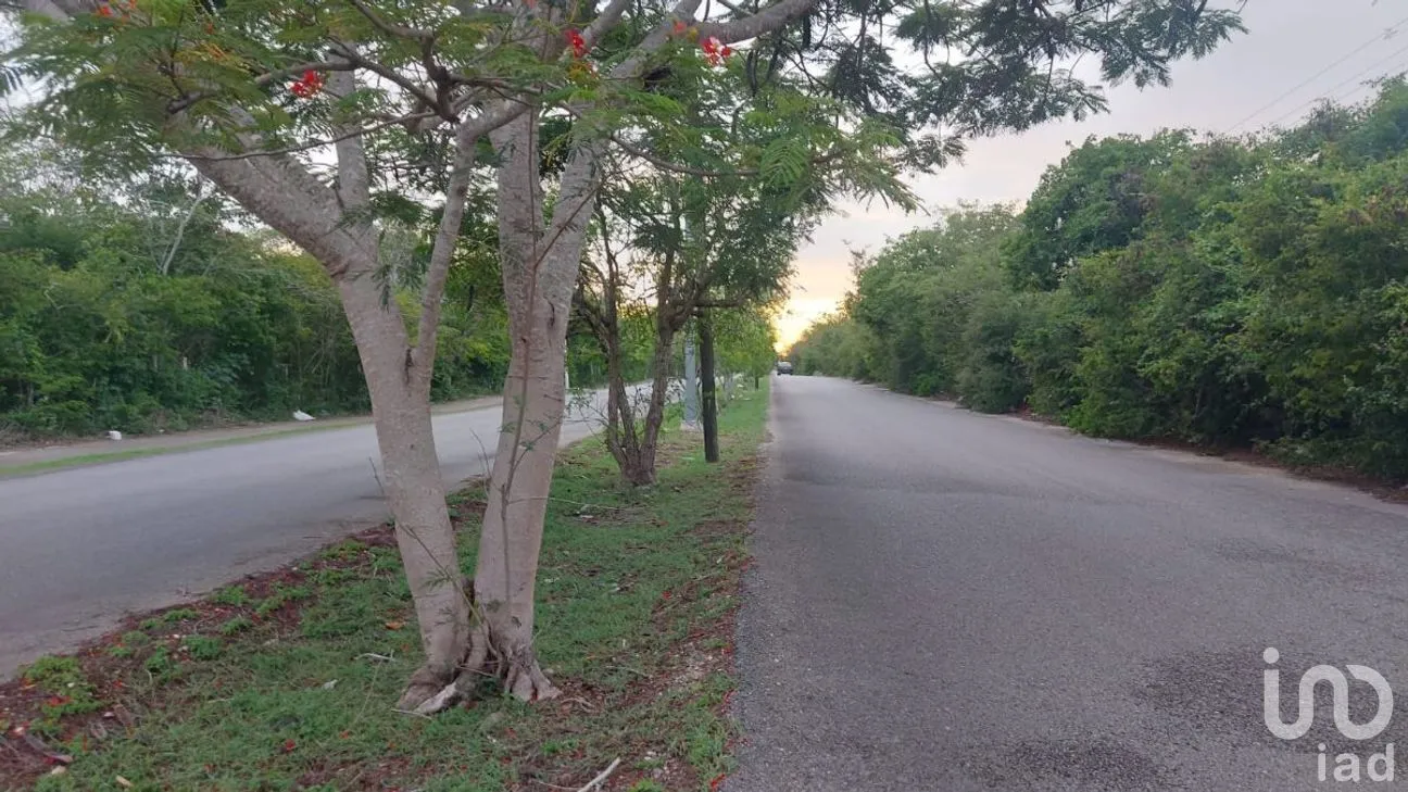 Terreno en Venta en Chablekal, Mérida, Yucatán | NEX-276755 | iad México | Foto 4 de 4