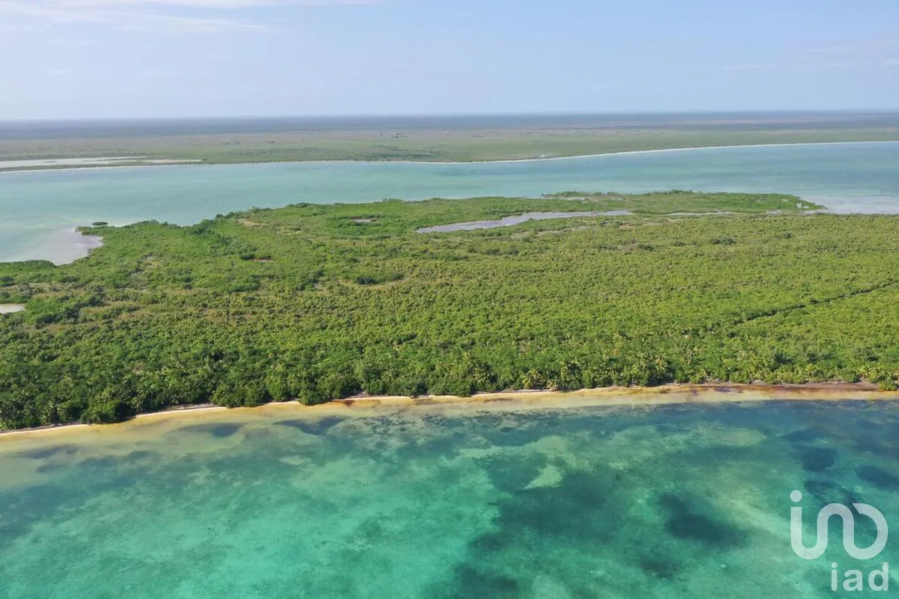 Terreno en Venta en Javier Rojo Gómez (Punta Allen), Tulum, Quintana Roo | NEX-276758 | iad México | Foto 2 de 14
