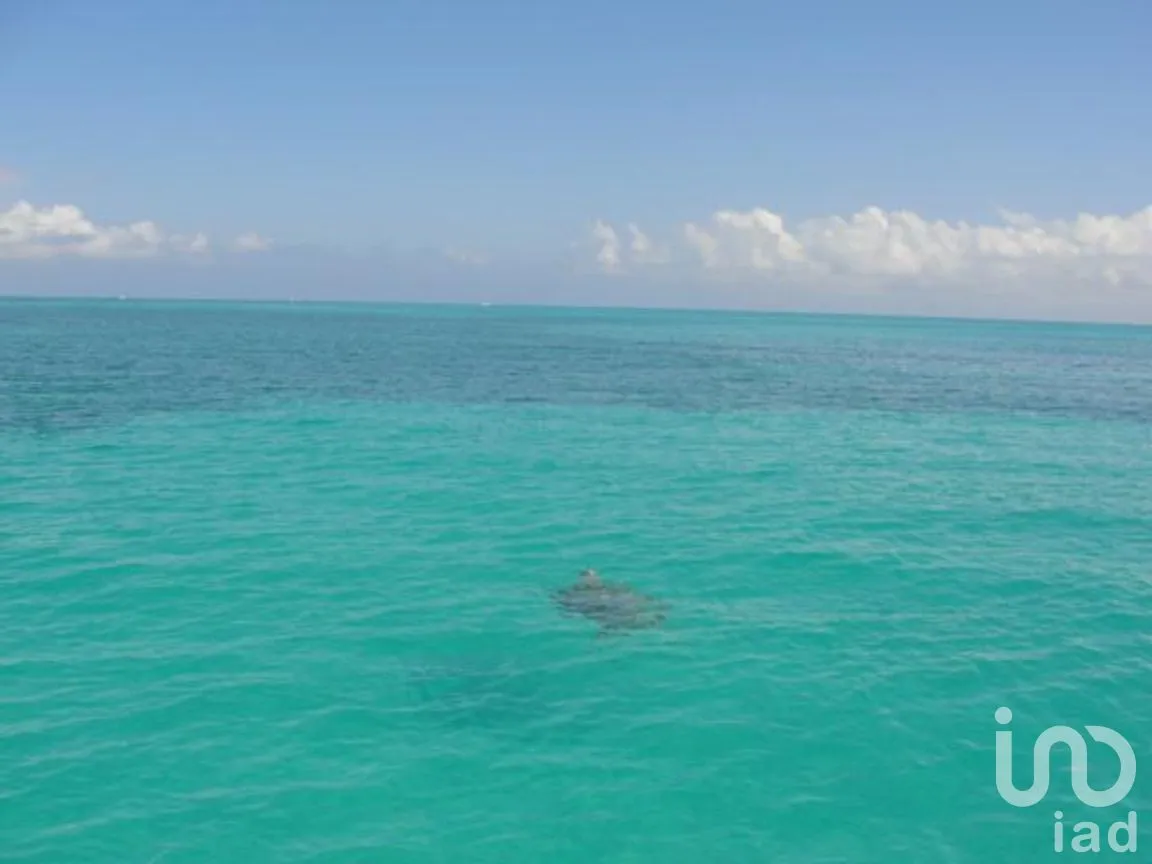 Terreno en Venta en Javier Rojo Gómez (Punta Allen), Tulum, Quintana Roo | NEX-276758 | iad México | Foto 11 de 14