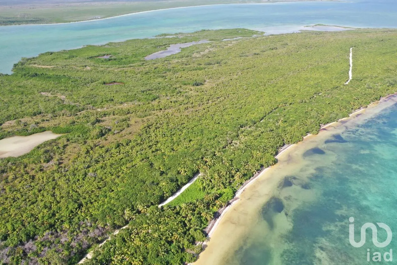 Terreno en Venta en Javier Rojo Gómez (Punta Allen), Tulum, Quintana Roo | NEX-276758 | iad México | Foto 3 de 14