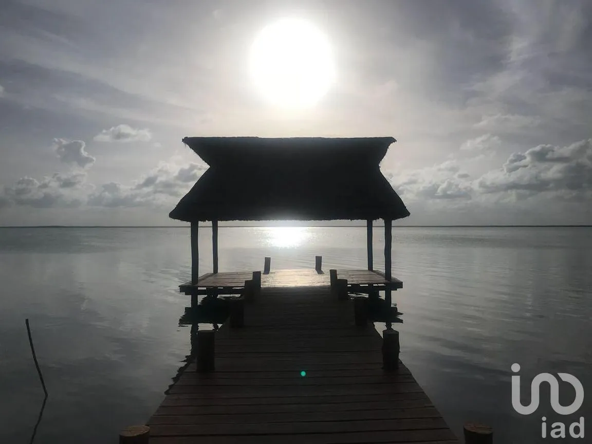 Terreno en Venta en Javier Rojo Gómez (Punta Allen), Tulum, Quintana Roo | NEX-276758 | iad México | Foto 8 de 14