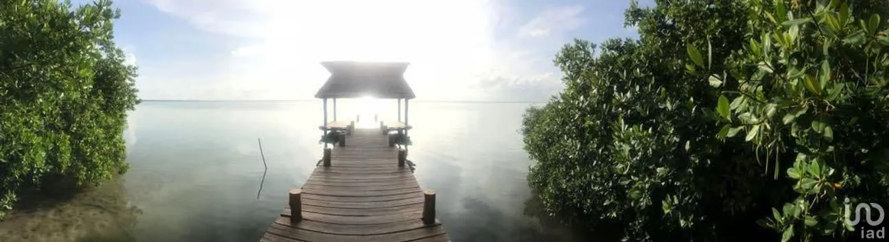 Terreno en Venta en Javier Rojo Gómez (Punta Allen), Tulum, Quintana Roo | NEX-276758 | iad México | Foto 9 de 14