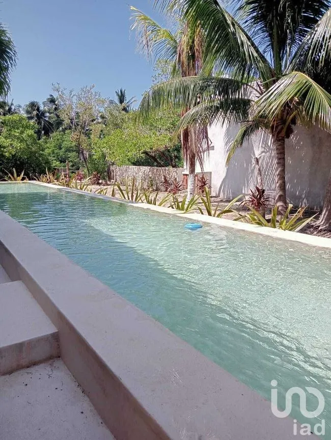 Casa en Venta en San Crisanto, Sinanché, Yucatán | NEX-276775 | iad México | Foto 12 de 19