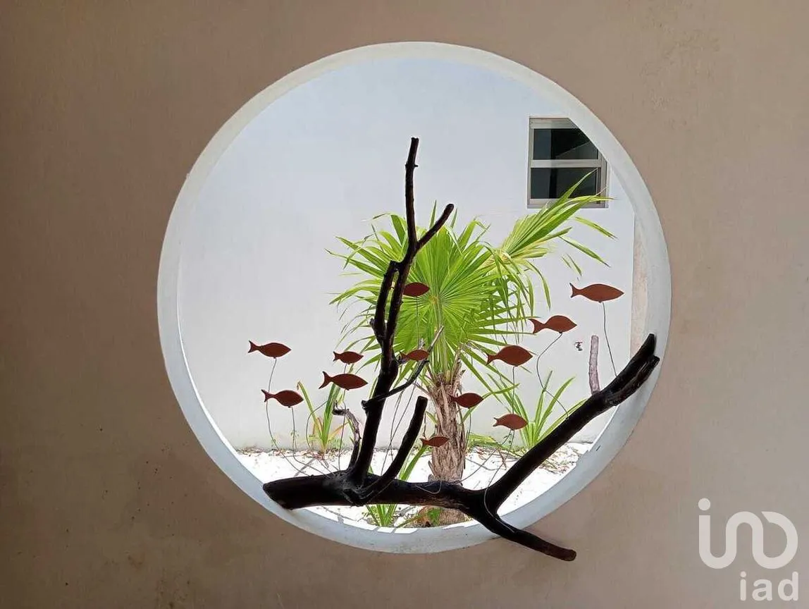 Casa en Venta en San Crisanto, Sinanché, Yucatán | NEX-276775 | iad México | Foto 18 de 19