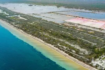 NEX-276776 - Terreno en Venta en Santa Clara, CP 97504, Yucatán.