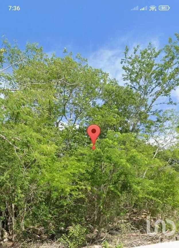 Terreno en Venta en Cholul, Mérida, Yucatán | NEX-276789 | iad México | Foto 3 de 4