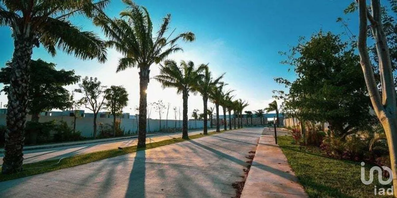 Terreno en Venta en Cholul, Mérida, Yucatán | NEX-276789 | iad México | Foto 4 de 4