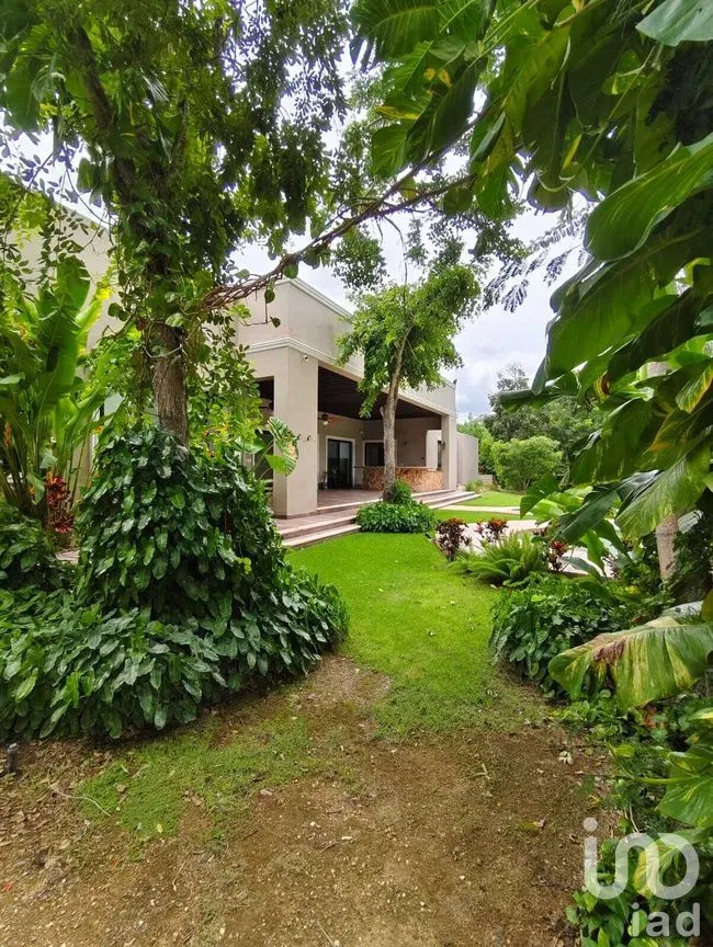 Casa en Venta en Dzibilchaltún, Mérida, Yucatán | NEX-277067 | iad México | Foto 11 de 14