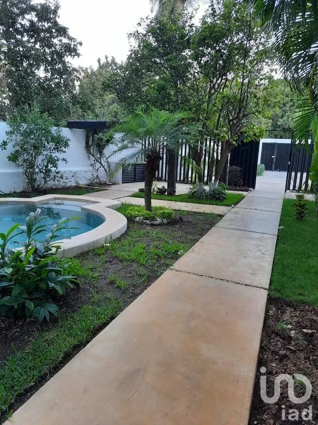 Departamento en Renta en Benito Juárez Nte, Mérida, Yucatán | NEX-278041 | iad México | Foto 1 de 9