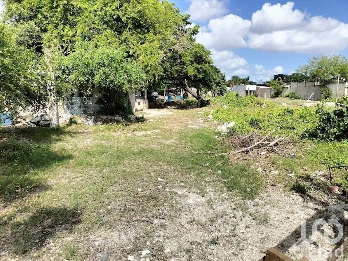 Terreno en Venta en Mulsay, Mérida, Yucatán | NEX-284273 | iad México | Foto 8 de 21
