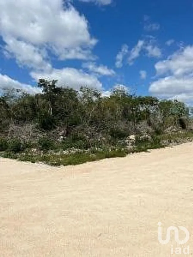 Terreno en Venta en Chicxulub, Chicxulub Pueblo, Yucatán | NEX-288080 | iad México | Foto 2 de 13