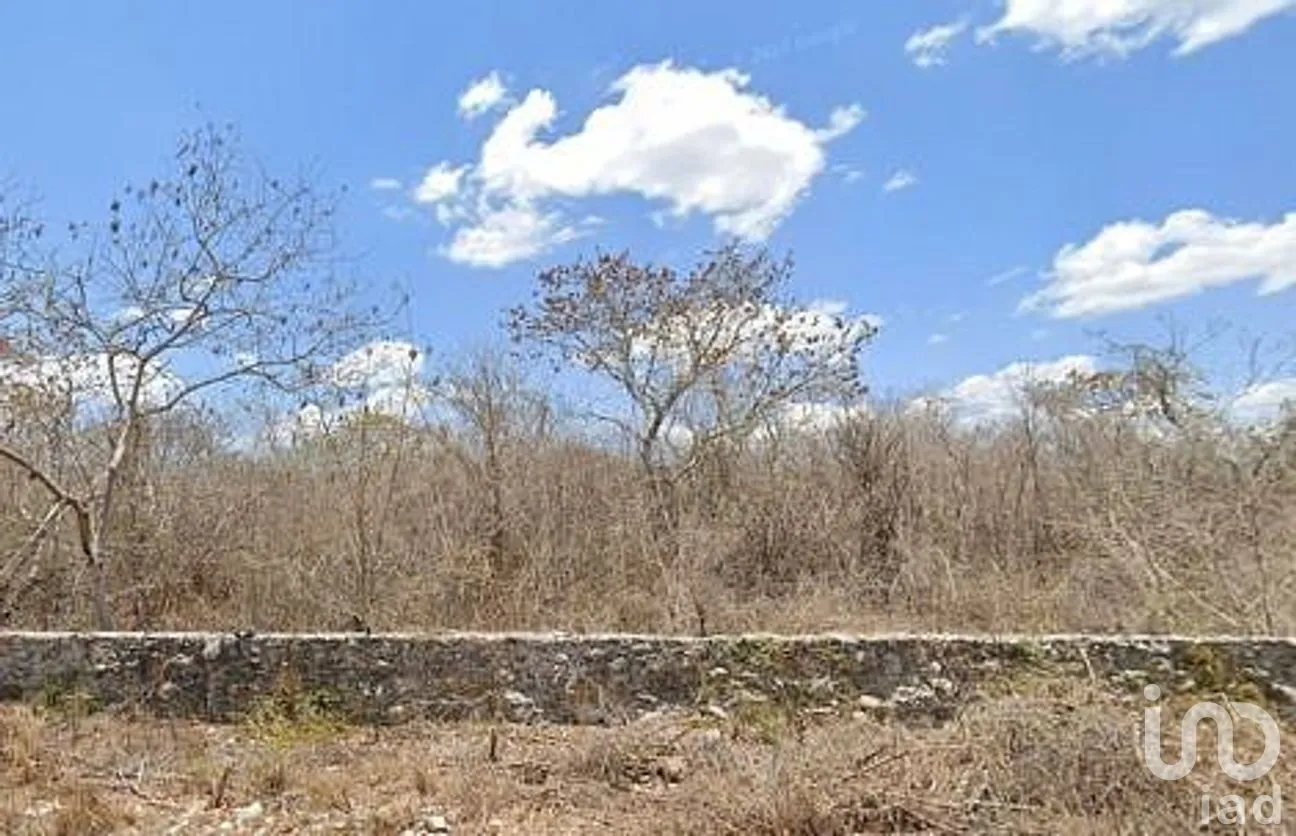 Terreno en Venta en Chicxulub, Chicxulub Pueblo, Yucatán | NEX-288080 | iad México | Foto 11 de 13