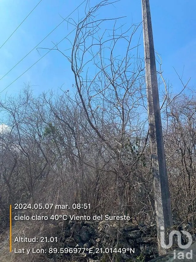 Terreno en Venta en Chicxulub, Chicxulub Pueblo, Yucatán | NEX-288080 | iad México | Foto 12 de 13