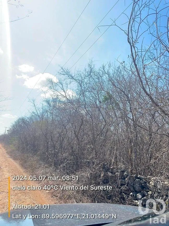 Terreno en Venta en Chicxulub, Chicxulub Pueblo, Yucatán | NEX-288080 | iad México | Foto 13 de 13
