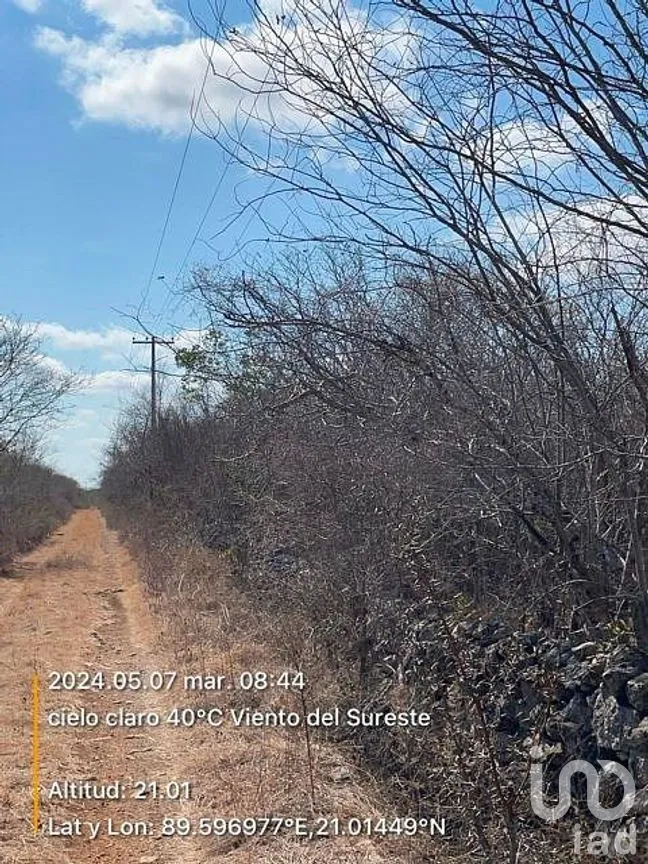 Terreno en Venta en Chicxulub, Chicxulub Pueblo, Yucatán | NEX-288080 | iad México | Foto 3 de 13