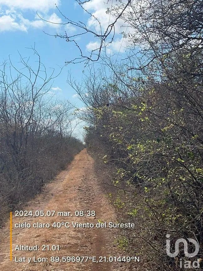 Terreno en Venta en Chicxulub, Chicxulub Pueblo, Yucatán | NEX-288080 | iad México | Foto 4 de 13