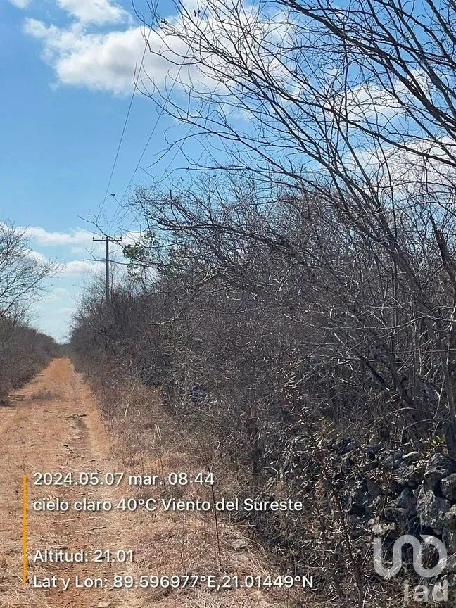 Terreno en Venta en Chicxulub, Chicxulub Pueblo, Yucatán | NEX-288080 | iad México | Foto 5 de 13