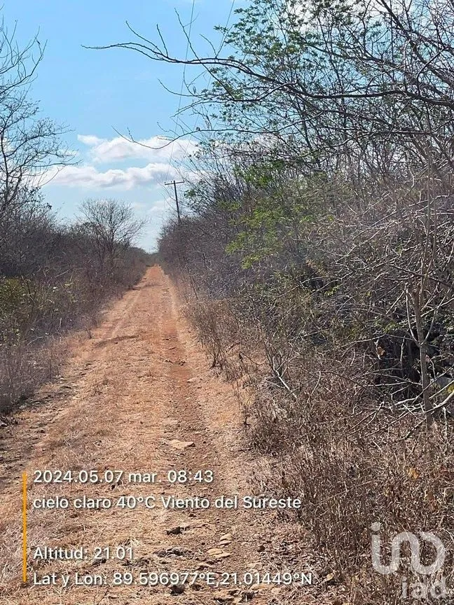 Terreno en Venta en Chicxulub, Chicxulub Pueblo, Yucatán | NEX-288080 | iad México | Foto 6 de 13