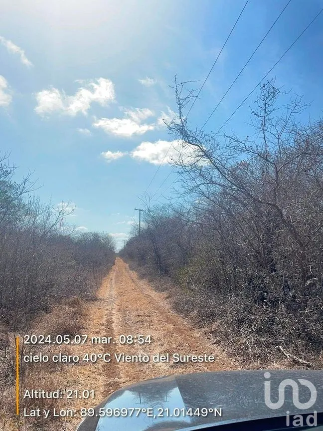 Terreno en Venta en Chicxulub, Chicxulub Pueblo, Yucatán | NEX-288080 | iad México | Foto 7 de 13