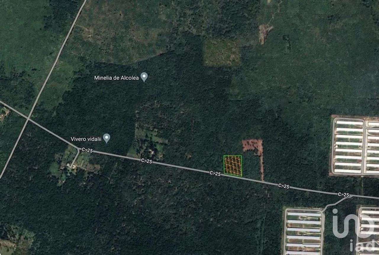 Terreno en Venta en Chicxulub, Chicxulub Pueblo, Yucatán | NEX-288080 | iad México | Foto 8 de 13