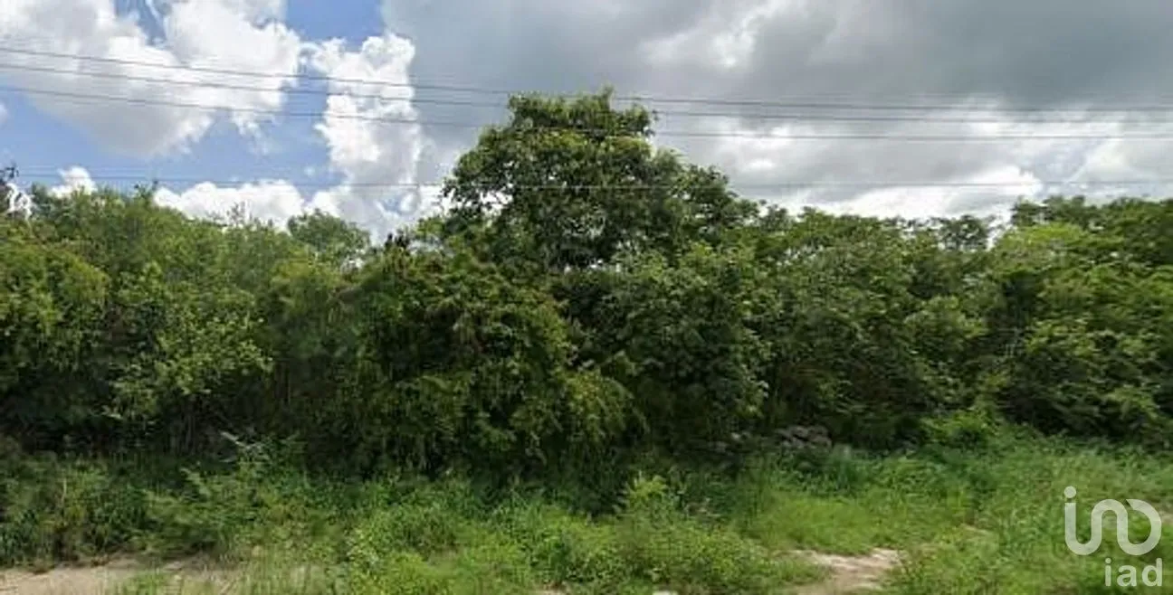 Terreno en Venta en Chicxulub, Chicxulub Pueblo, Yucatán | NEX-288080 | iad México | Foto 10 de 13