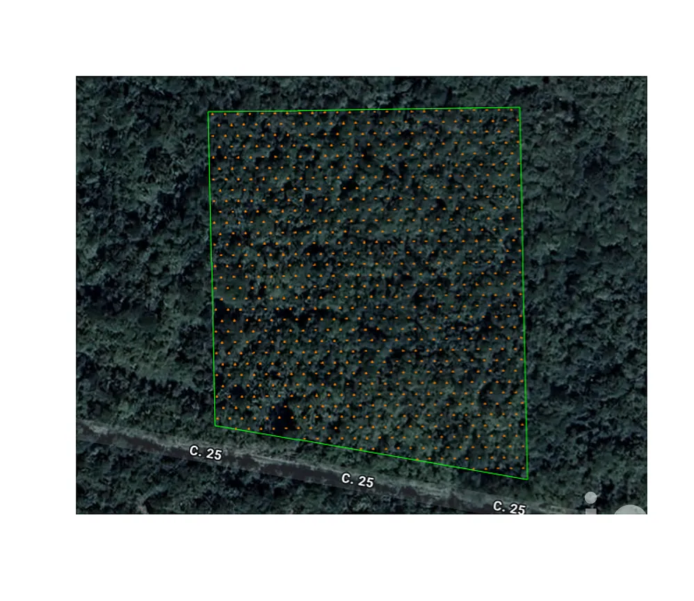 Terreno en Venta en Chicxulub, Chicxulub Pueblo, Yucatán | NEX-288080 | iad México | Foto 1 de 13